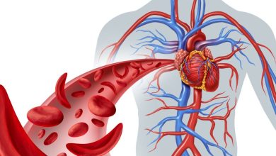 Feeling tired all day falls victim to this blood related problem! Women are more at risk