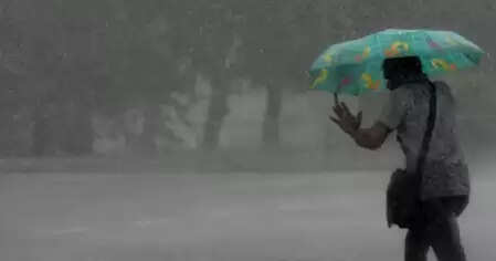 Cyclone Ditvaah moving at a speed of 5 kilometers per hour: IMD Chennai