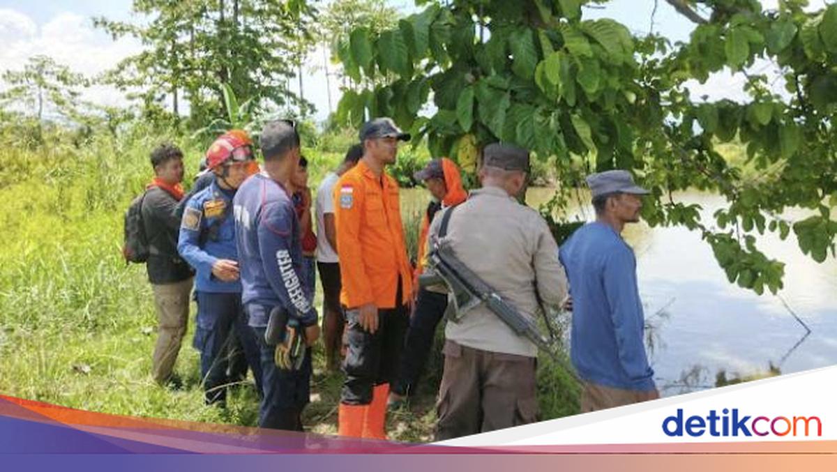 Intending to search for missing family in Empang, 2 men in Luwu were instead attacked by crocodiles