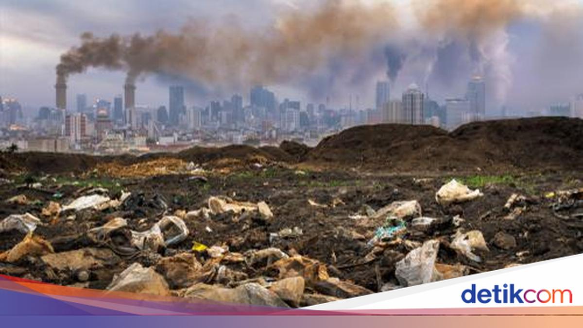 Pollution Prevention Day 2 December: Objectives and how to celebrate