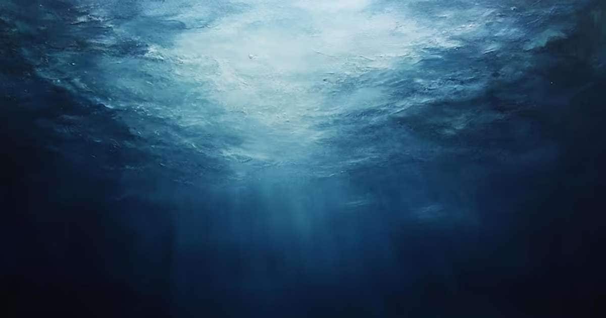 160 days in 4000 meters of sea: What scientists saw inside left them stunned