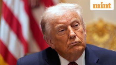 Trump’s approval rating recovers after hitting second-term low in November – what’s behind the rise?