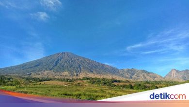 The theme is International Mountain Day 2025, which is celebrated on 11 December