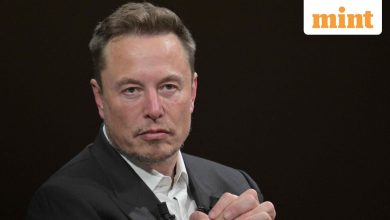 Elon Musk reflects on DOGE role: ‘Pretty successful..wouldn’t do it again’, says he should have focused on his companies