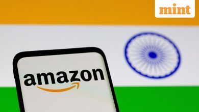 Coin Quick Edit | Big Tech’s mega-promises should ease India’s anxieties about capital outflows