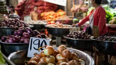 البصل الأحمر أم الأصفر: أيهما الأفضل لصحتك؟