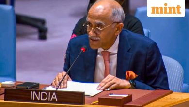 At UNSC, India condemns civilian killings in Afghanistan, pushes for targeted Taliban engagement | Look