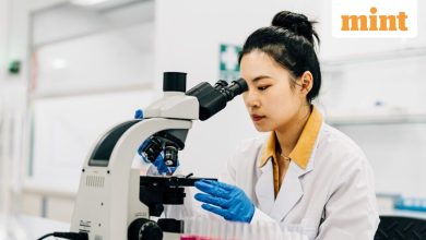 As Big Pharma Faces ‘Patent Cliff’, China’s Biotech Boom Emerges as Industry’s Most Critical Lifeline