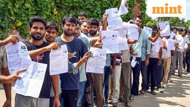 Nainital Bank Recruitment Exam 2025: Lender Announces Vacancies for 185 Posts – Check Posts, Dates, How to Apply & More