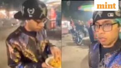 Youtuber Beaten After Feeding Non-Veg Momos To Cow In Gurgaon, Arrested After Video Goes Viral