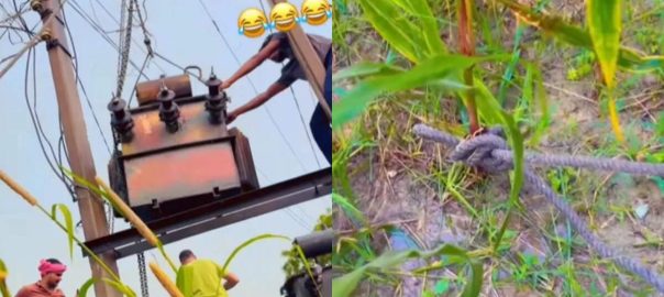 21 gun salute to the brother who tied the rope, you too will hold your head after seeing the tied rope