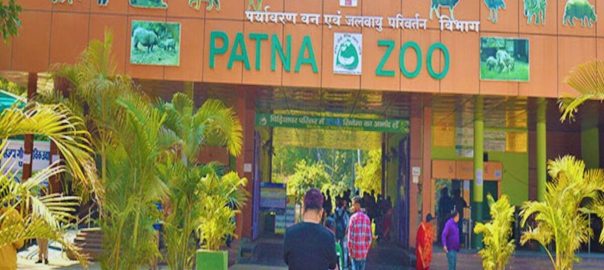 Visit to Patna Zoo becomes expensive, ticket prices go up 3 times