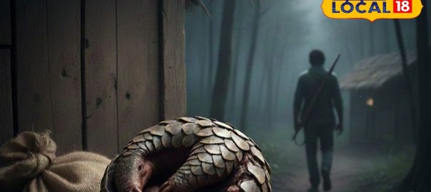 This beautiful creature is hunted every 3 minutes, what is so special that people go crazy to get it?