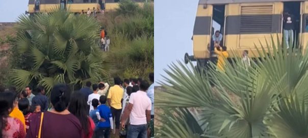 This reverence and devotion can only be seen in India, the video received a flood of likes.