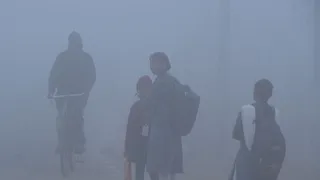 Orange alert regarding fog in Bareilly: No visibility in Terai areas, take protection like this! – on terai region dense fog orange warning imd low visibility travel safety tips