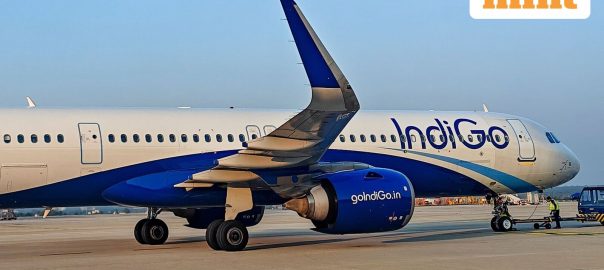 IndiGo’s collapse showed how difficult it is for India to shed its legacy of passive management