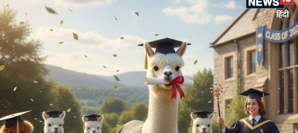 Alpaca animals graduate in Japan’s school, children say goodbye
