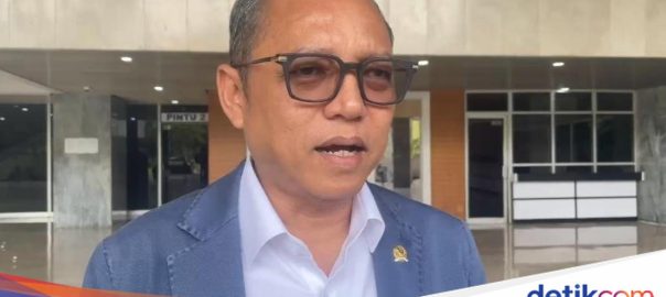 PDIP on foreign aid: affordability is not a problem, but people need to be helped quickly